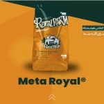 متا رویال