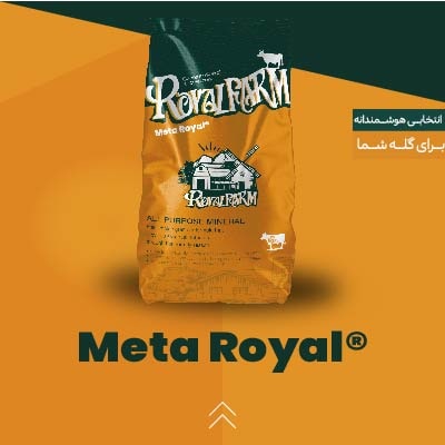 متا رویال
