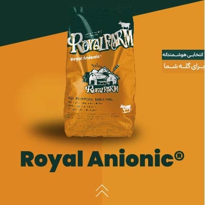 مکمل آنیونیک رویال