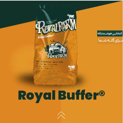 بافر رویال