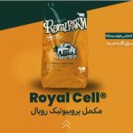 مکمل پروبیوتیک رویال