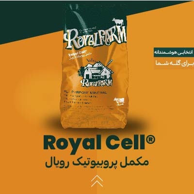 مکمل پروبیوتیک رویال