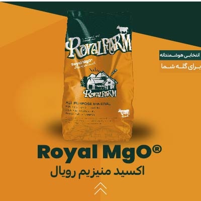 اکسید منیزیم رویال