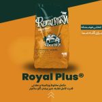 مکمل مخلوط ویتامینه و معدنی
