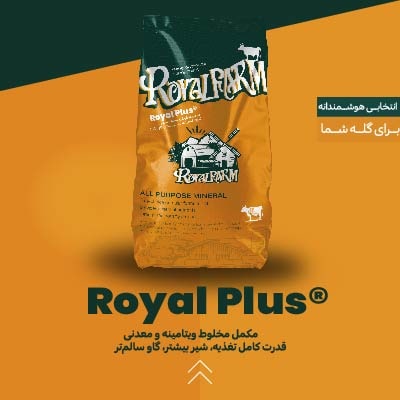 مکمل مخلوط ویتامینه و معدنی