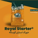 خوراک استارتر گوساله