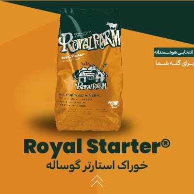 خوراک استارتر گوساله