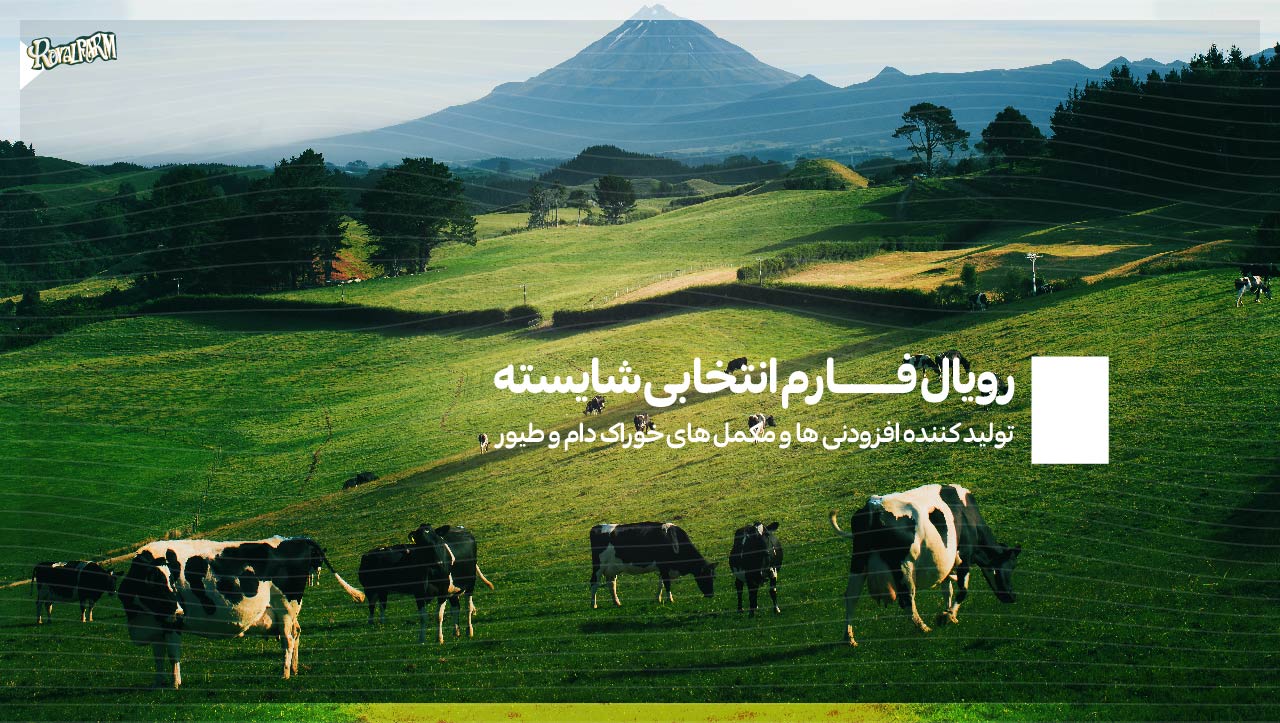 رویال فارم